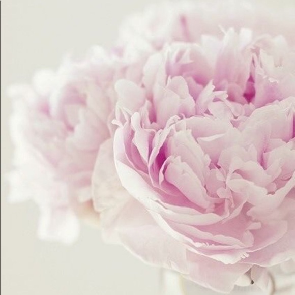 Fee - Picture 1 of 1